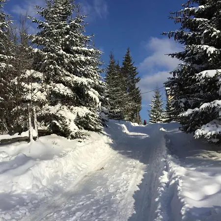 Highland Hotel Yablunytsya